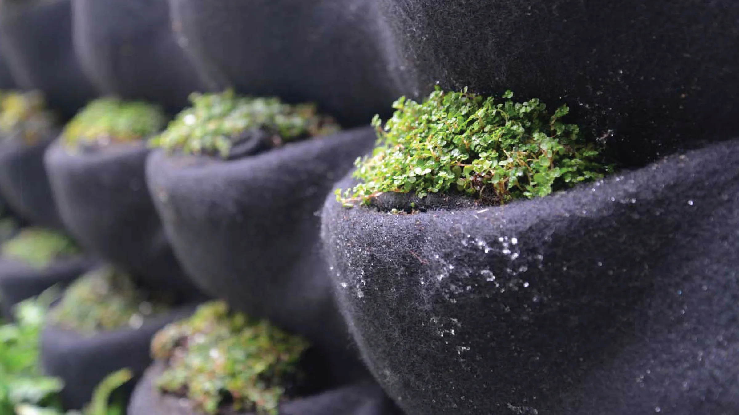 Florafelt Pockets — Florafelt Living Wall Systems
